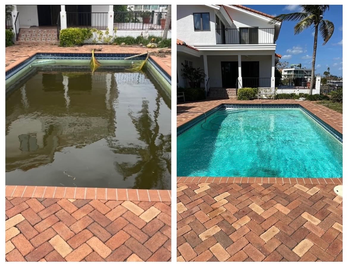 Professional pool care Paradise Pools